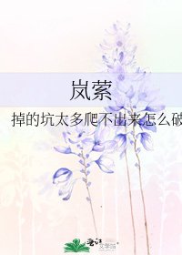 《岚萦》