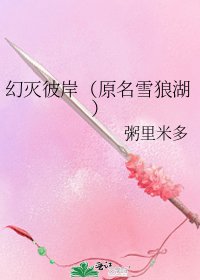 《幻灭彼岸(原名雪狼湖)》
