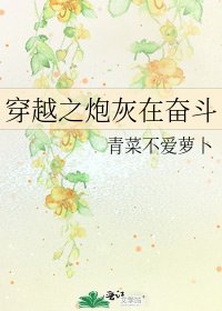 《穿越之炮灰在奋斗》
