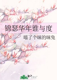 《锦瑟华年谁与度》