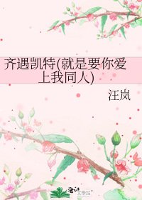 《齐遇凯特(就是要你爱上我同人)》