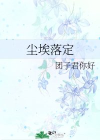 尘埃落定
