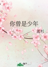 《你曾是少年》