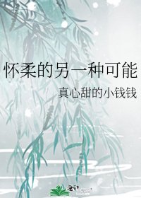 《怀柔的另一种可能》