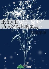 《fly!fly!fly!(又名腐坏的灵魂)》