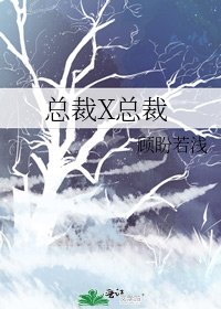 《总裁X总裁》