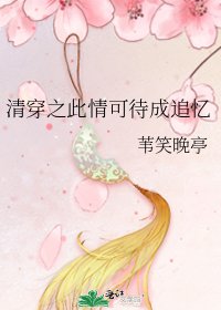 《清穿之此情可待成追憶》