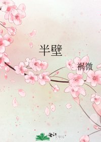 《半壁》