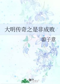 大明传奇之是非成败