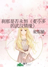 《刹那是否永恒(麦小多的武汉情缘)》