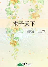《木子天下》