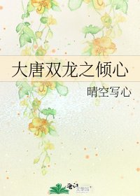 《大唐双龙之倾心》