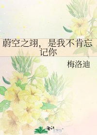 《蔚空之翊,是我不肯忘记你》