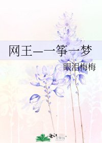 《网王—一筝一梦》