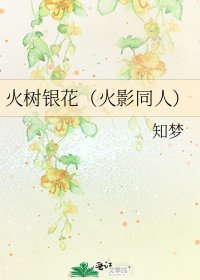 《火树银花(火影同人)》