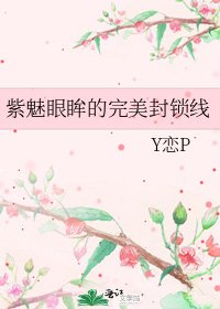 《紫魅眼眸的完美封锁线》