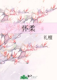 《怀柔》