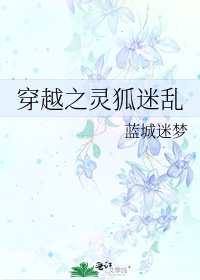 《穿越之灵狐迷乱》