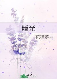 暗光