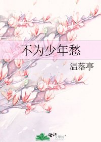 《不为少年愁》