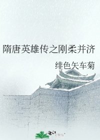 隋唐英雄传之刚柔并济