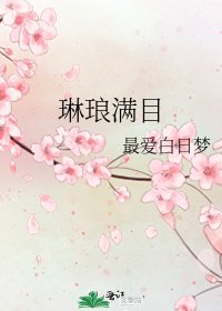 《琳琅满目》