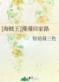 [海贼王]漫漫回家路