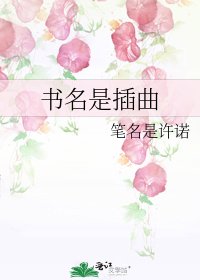 《书名是插曲》