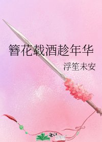 《簪花载酒趁年华》