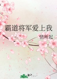 《霸道將軍愛上我》