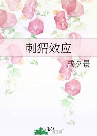 《刺猬效应》