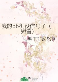 《我的bb機沒訊號了(短篇)》