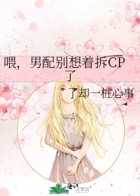 《喂,男配别想着拆CP了》