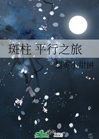 《斑柱 平行之旅》