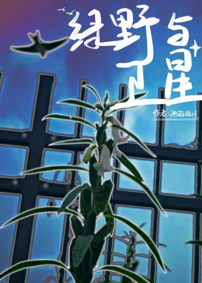 绿野与卫星(GB)