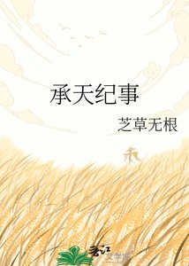 承天紀事