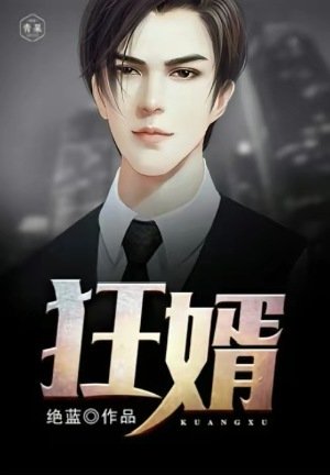 《狂婿》