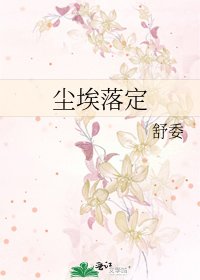 尘埃落定