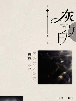 《灰与白》