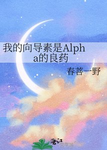 《我的向导素是Alpha的良药》