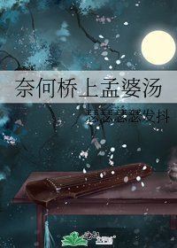 《奈何桥上孟婆汤》