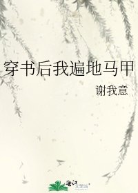 穿书后我遍地马甲