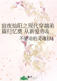 寂夜灿阳之现代穿越弟篇归忆奠 从新爱你•••