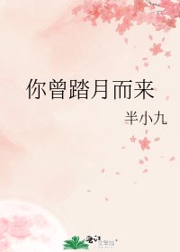 《你曾踏月而来》