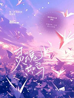 《灵魂共鸣》
