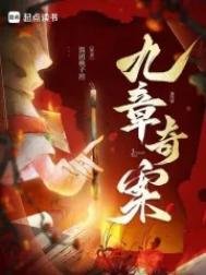 《九章奇案》