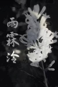 雨霖泠