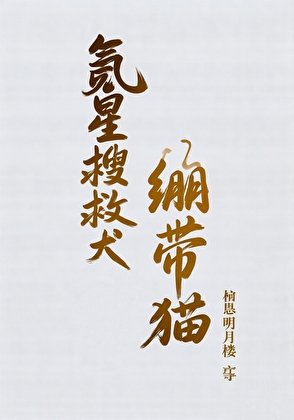 《(综漫同人)氪星搜救犬与绷带猫》