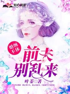 婚缠不休:前夫,别乱来