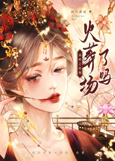 太子火葬场实录
